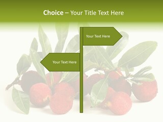 Leaf Waxberry Gourmet PowerPoint Template