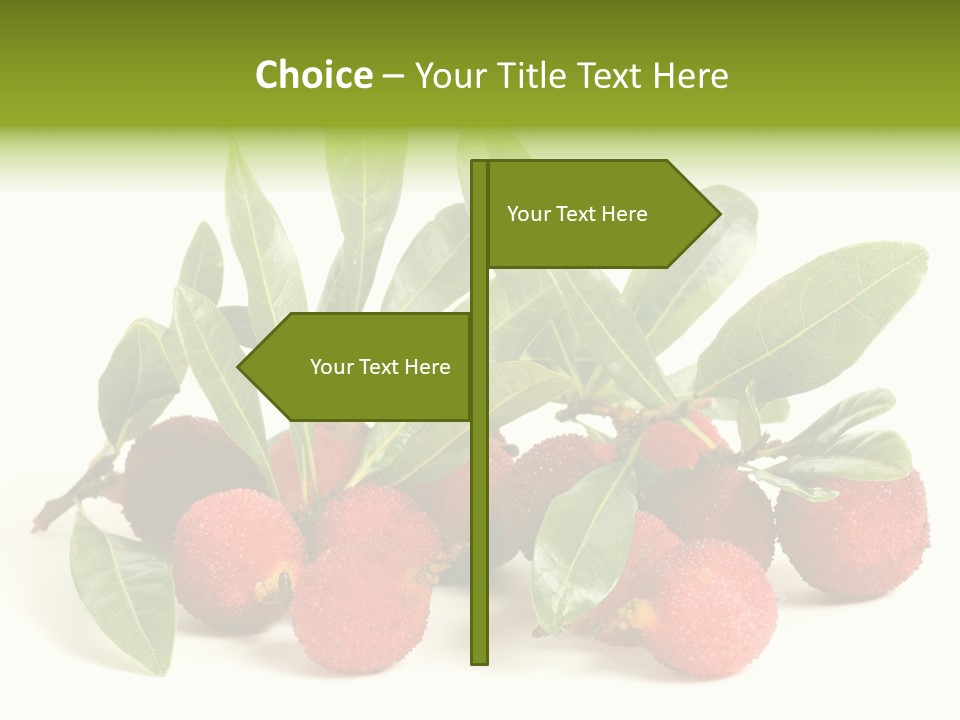 Leaf Waxberry Gourmet PowerPoint Template