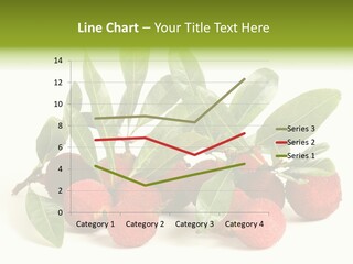 Leaf Waxberry Gourmet PowerPoint Template