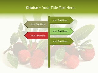 Leaf Waxberry Gourmet PowerPoint Template