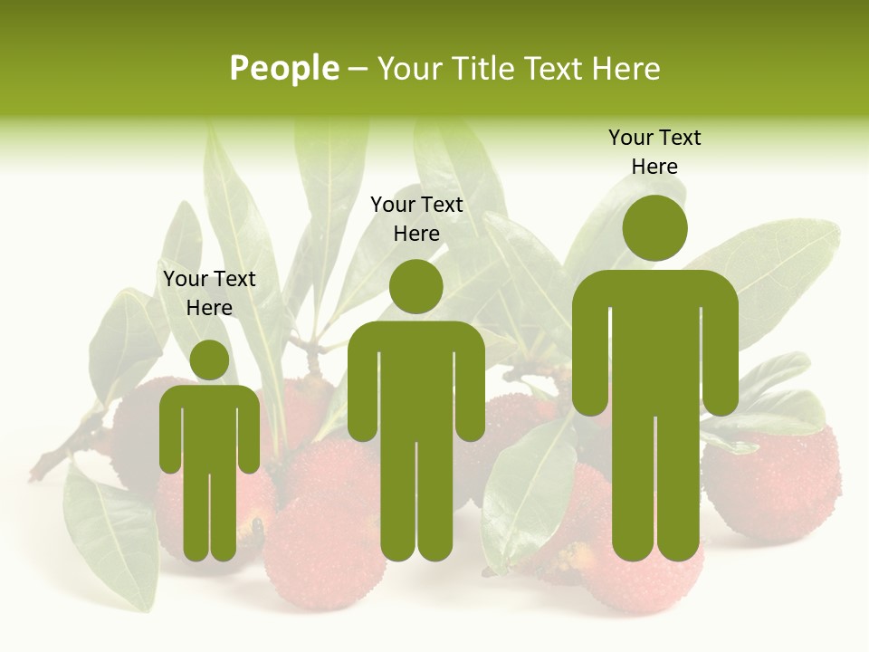 Leaf Waxberry Gourmet PowerPoint Template