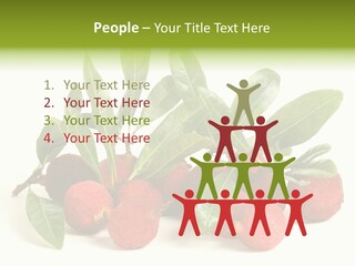Leaf Waxberry Gourmet PowerPoint Template