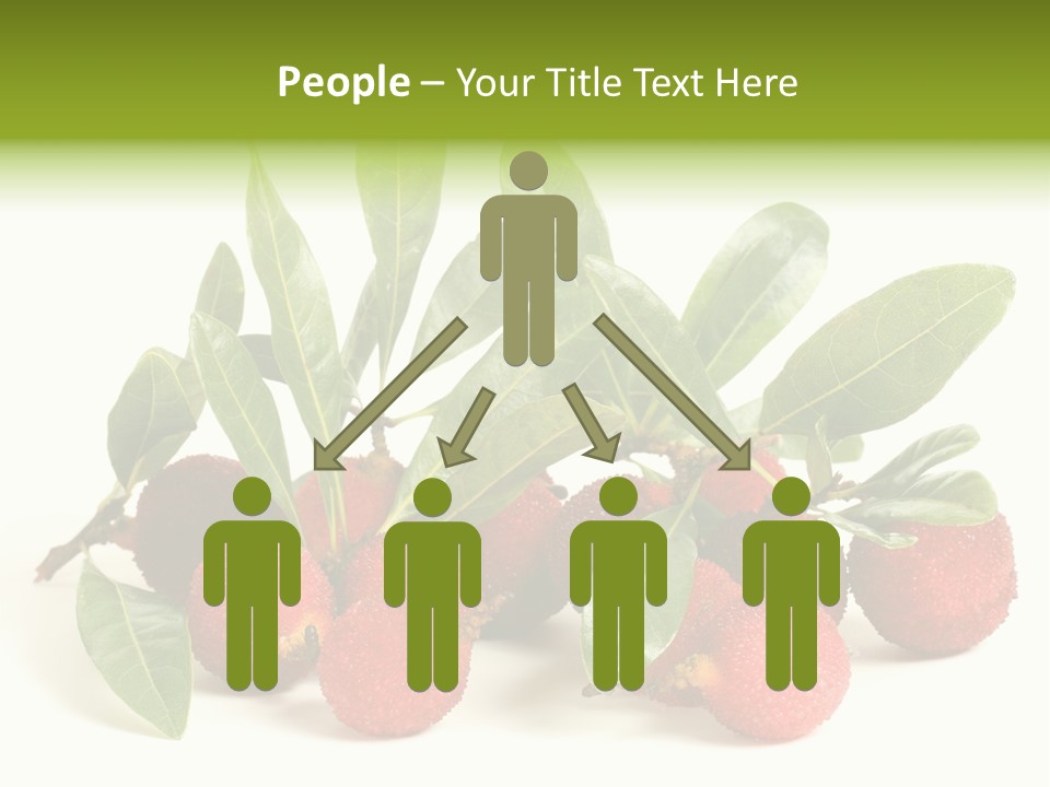 Leaf Waxberry Gourmet PowerPoint Template