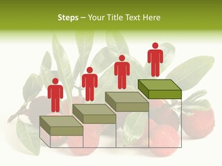 Leaf Waxberry Gourmet PowerPoint Template