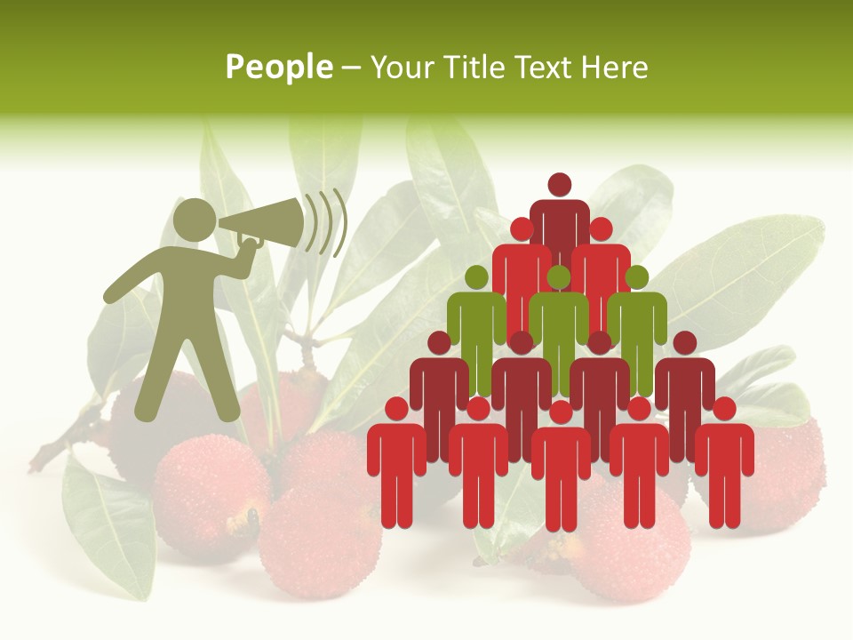 Leaf Waxberry Gourmet PowerPoint Template