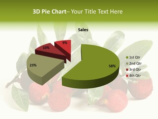 Leaf Waxberry Gourmet PowerPoint Template