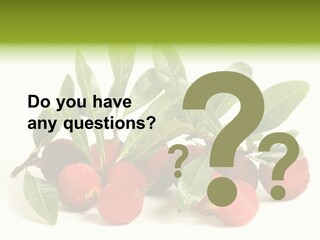 Leaf Waxberry Gourmet PowerPoint Template