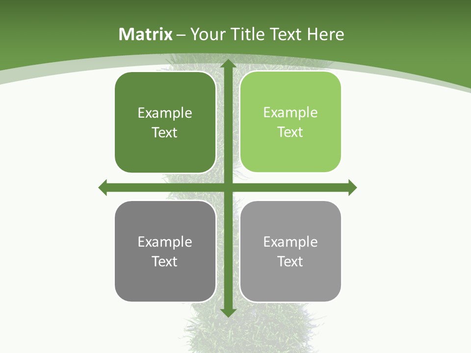 Toe Conservation Step PowerPoint Template