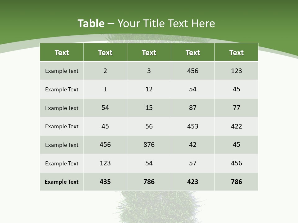 Toe Conservation Step PowerPoint Template