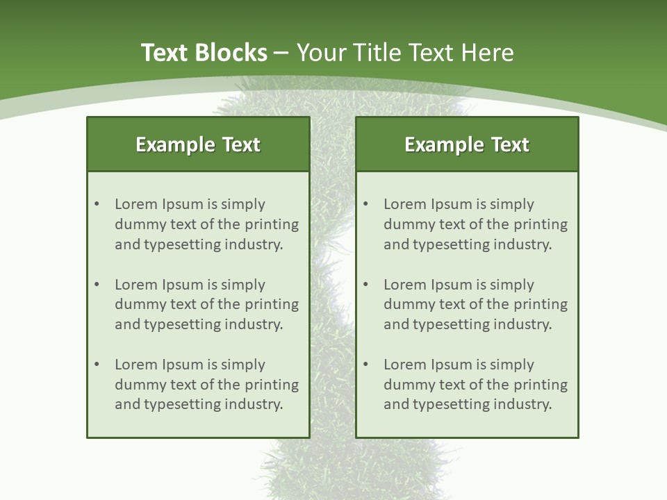 Toe Conservation Step PowerPoint Template