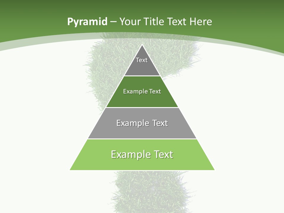 Toe Conservation Step PowerPoint Template