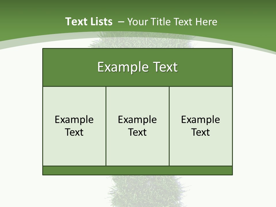 Toe Conservation Step PowerPoint Template