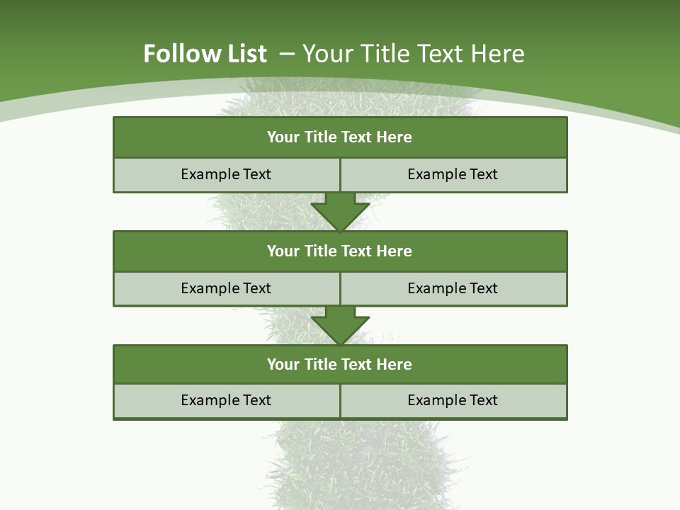 Toe Conservation Step PowerPoint Template