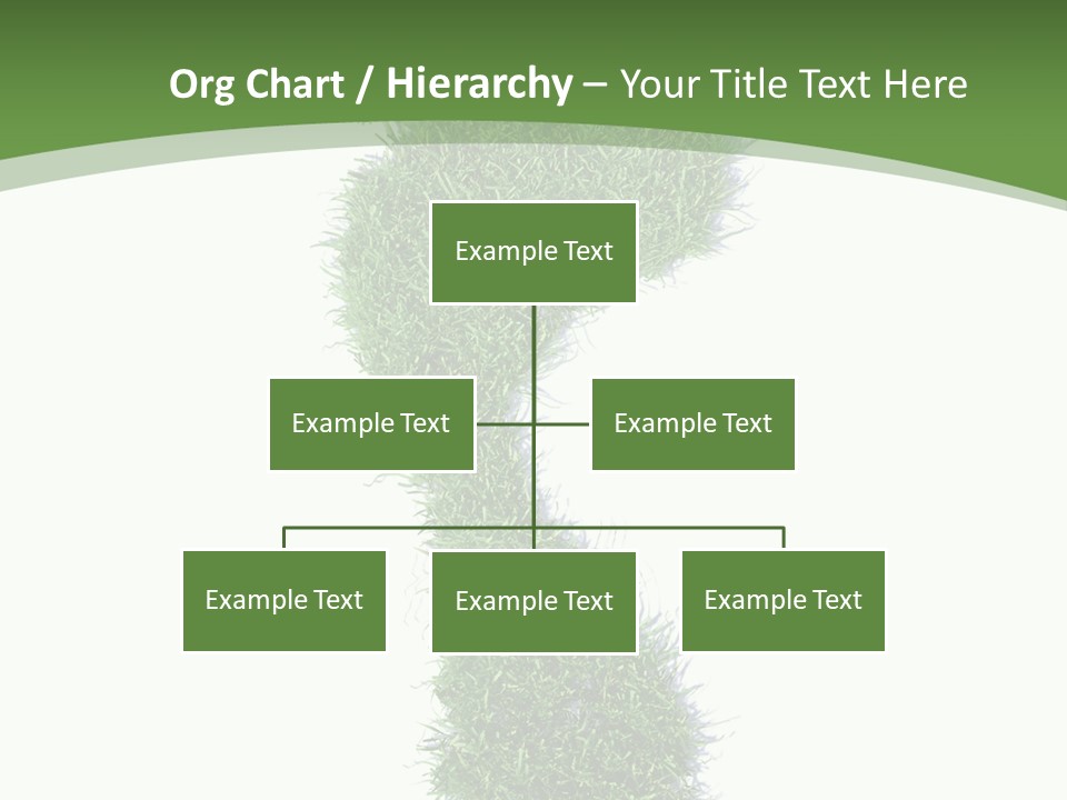 Toe Conservation Step PowerPoint Template