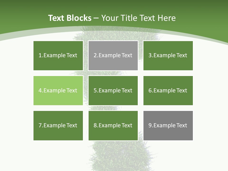Toe Conservation Step PowerPoint Template