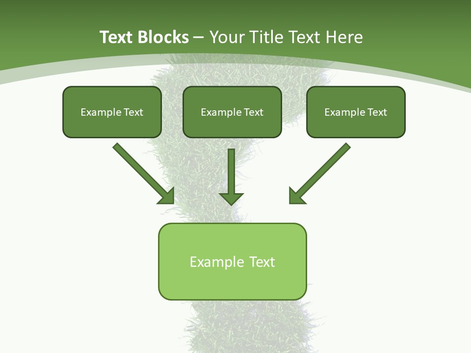 Toe Conservation Step PowerPoint Template