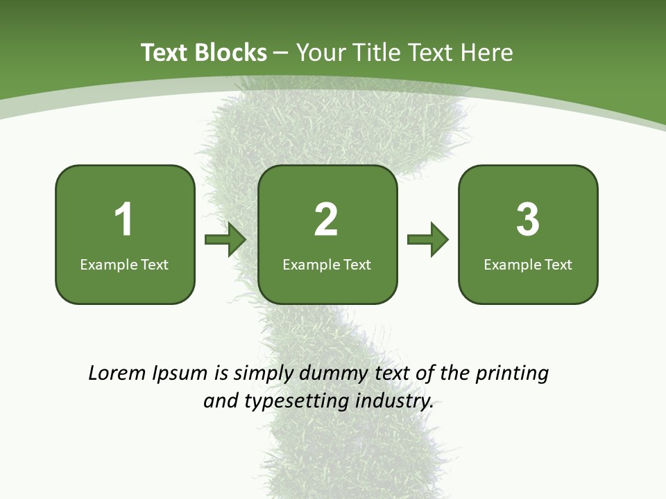 Toe Conservation Step PowerPoint Template