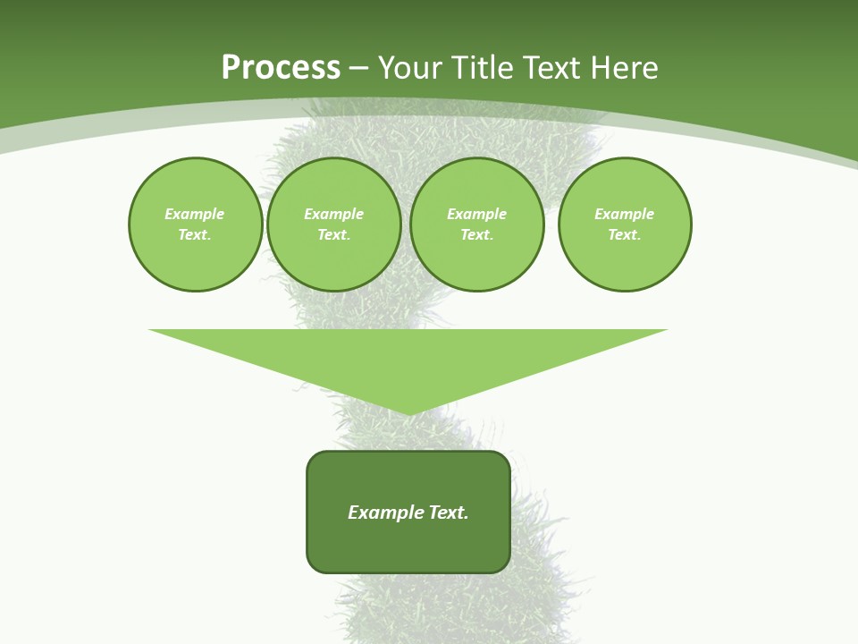 Toe Conservation Step PowerPoint Template