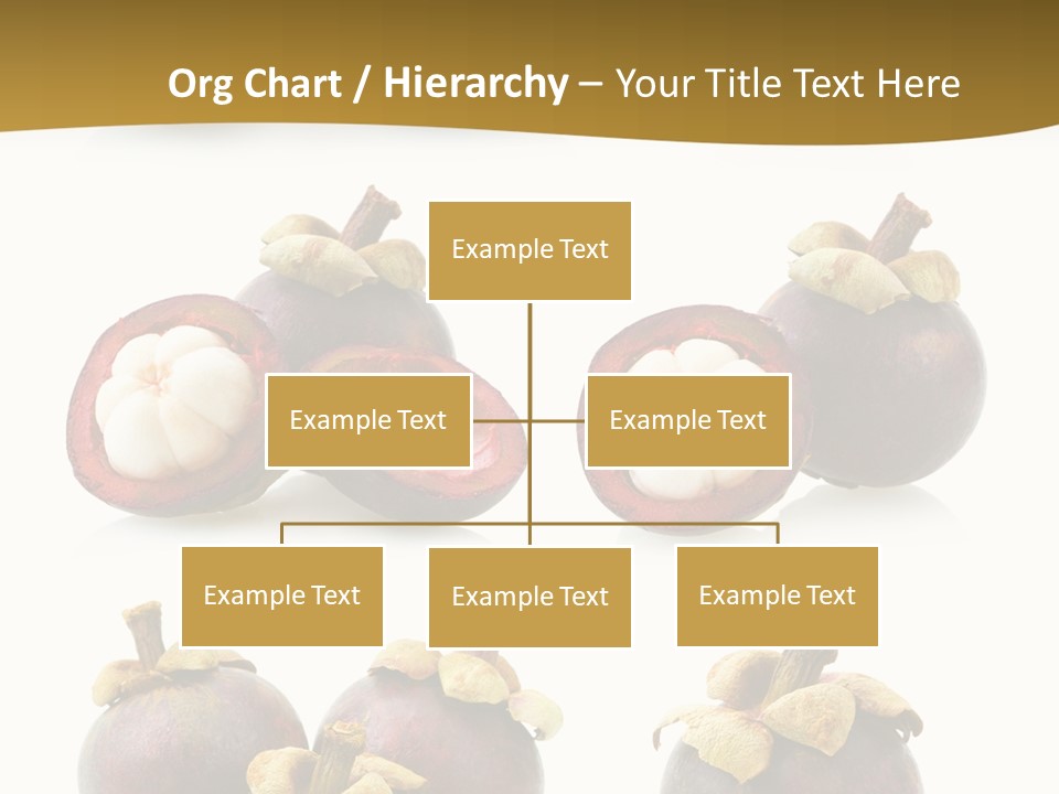 Fruit Garcinia Mangostana Ripe PowerPoint Template