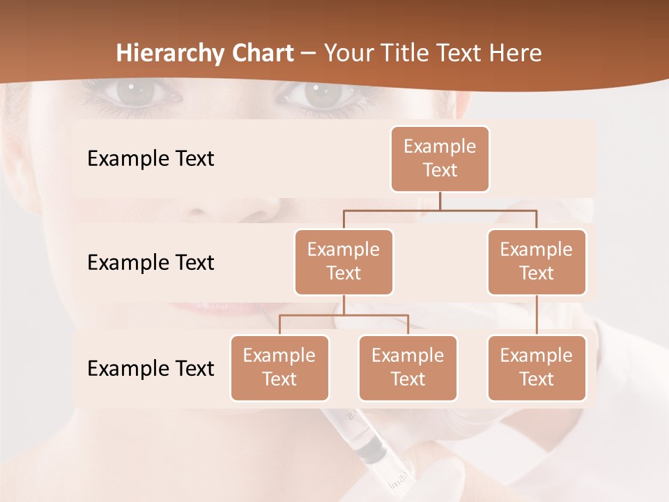 Fresh Professional Lady PowerPoint Template
