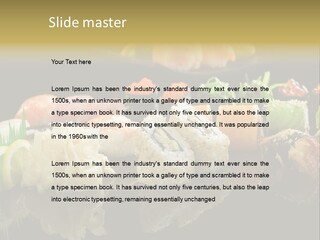 Food Asian Japan PowerPoint Template