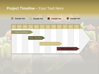 Food Asian Japan PowerPoint Template