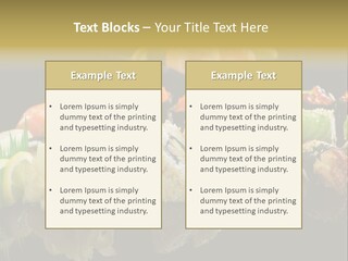 Food Asian Japan PowerPoint Template