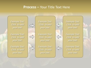 Food Asian Japan PowerPoint Template