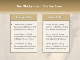 Figure S Sand PowerPoint Template
