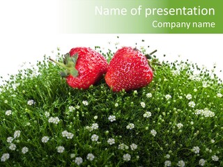 White Isolated Flowers PowerPoint Template