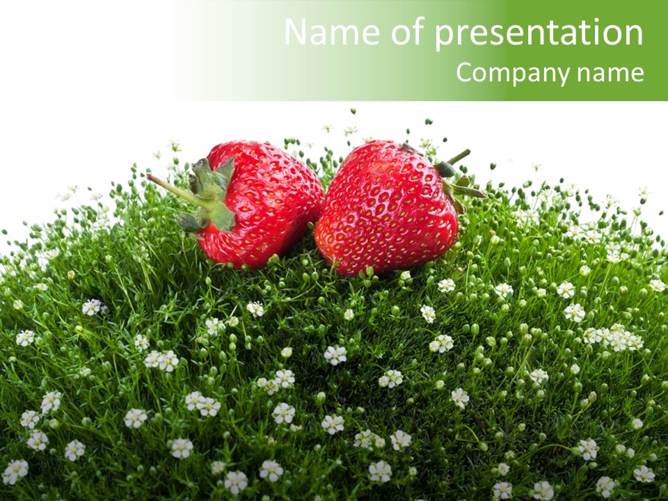 White Isolated Flowers PowerPoint Template