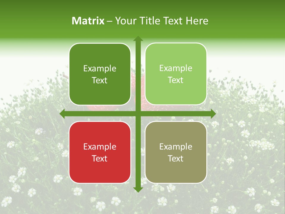 White Isolated Flowers PowerPoint Template