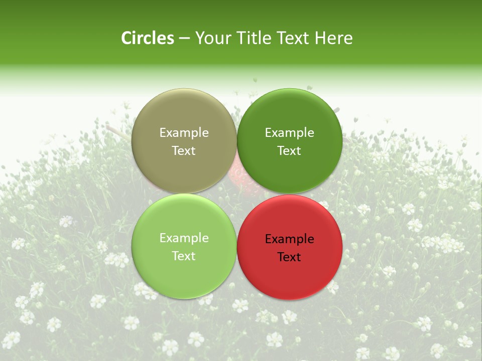 White Isolated Flowers PowerPoint Template