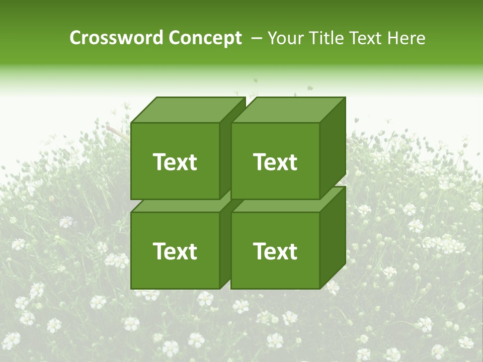 White Isolated Flowers PowerPoint Template