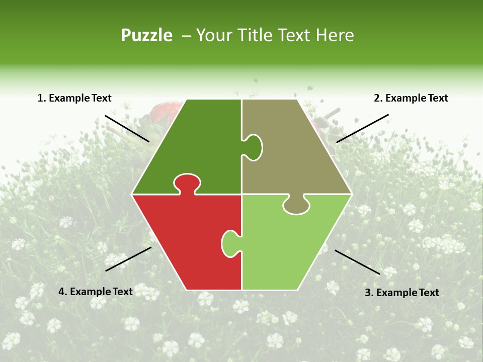 White Isolated Flowers PowerPoint Template