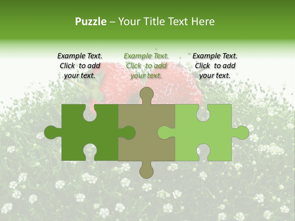 White Isolated Flowers PowerPoint Template