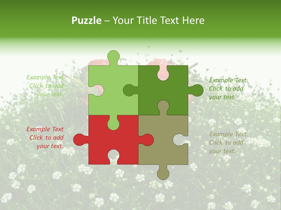 White Isolated Flowers PowerPoint Template