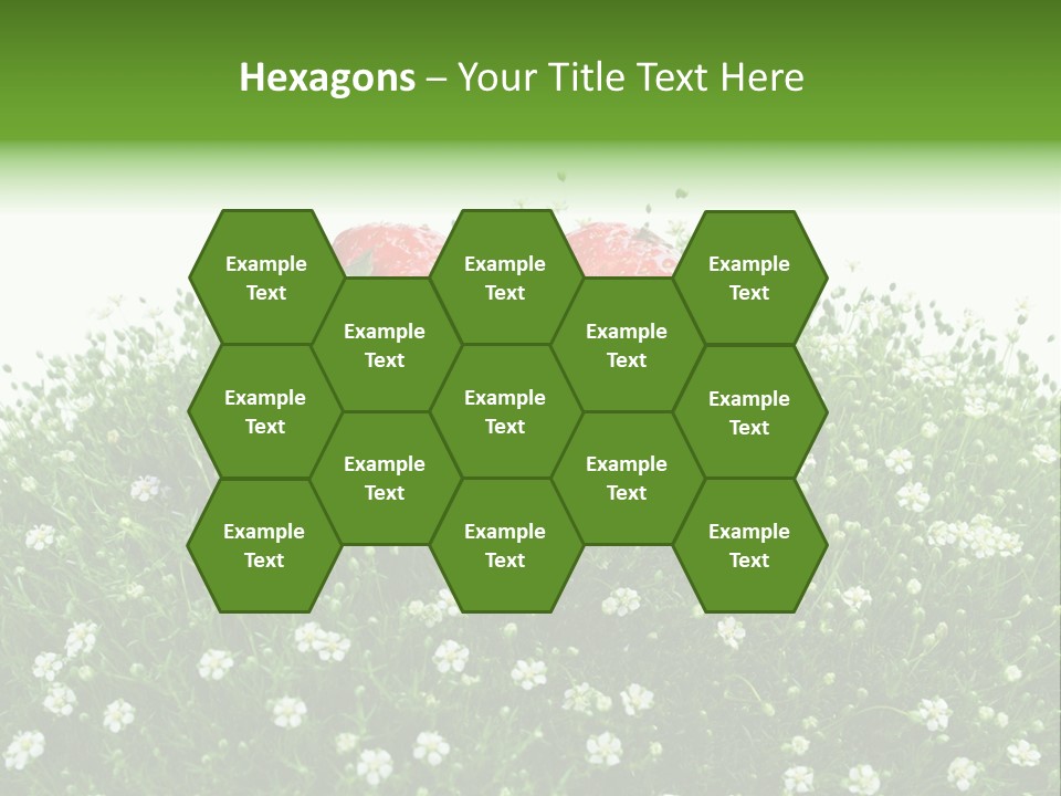 White Isolated Flowers PowerPoint Template