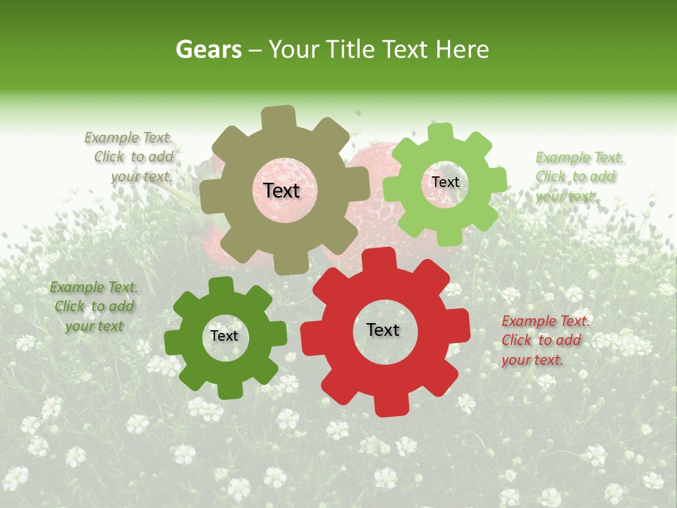 White Isolated Flowers PowerPoint Template