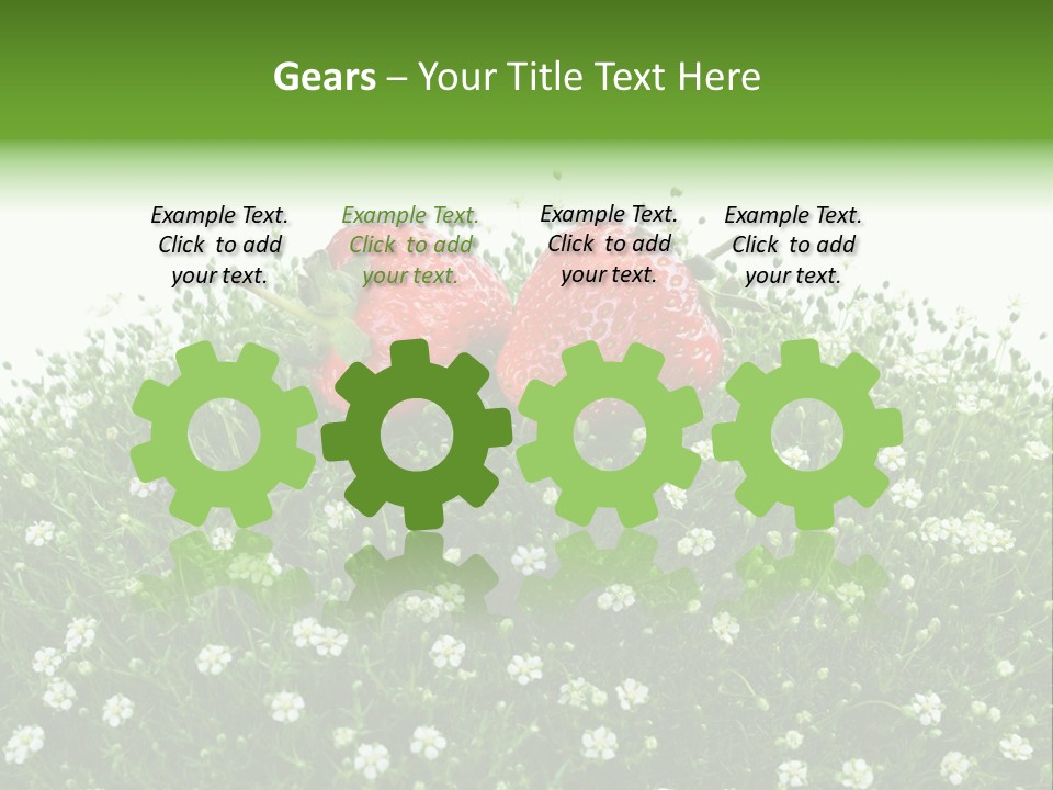 White Isolated Flowers PowerPoint Template