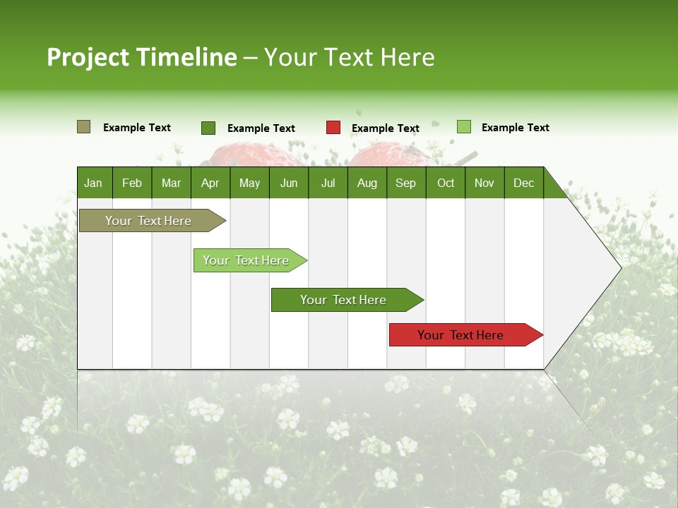 White Isolated Flowers PowerPoint Template