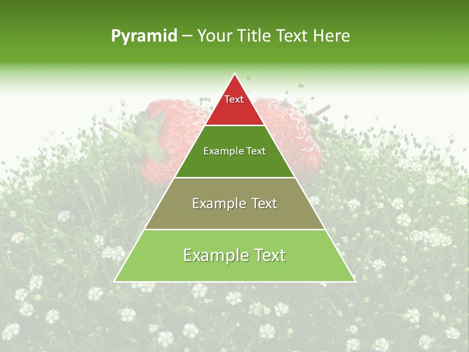 White Isolated Flowers PowerPoint Template