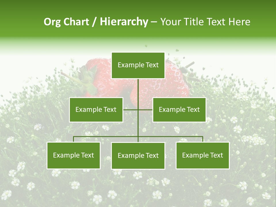 White Isolated Flowers PowerPoint Template