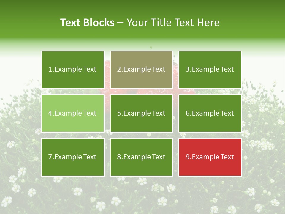 White Isolated Flowers PowerPoint Template