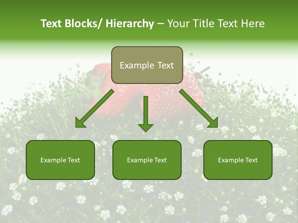 White Isolated Flowers PowerPoint Template