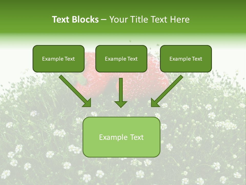 White Isolated Flowers PowerPoint Template