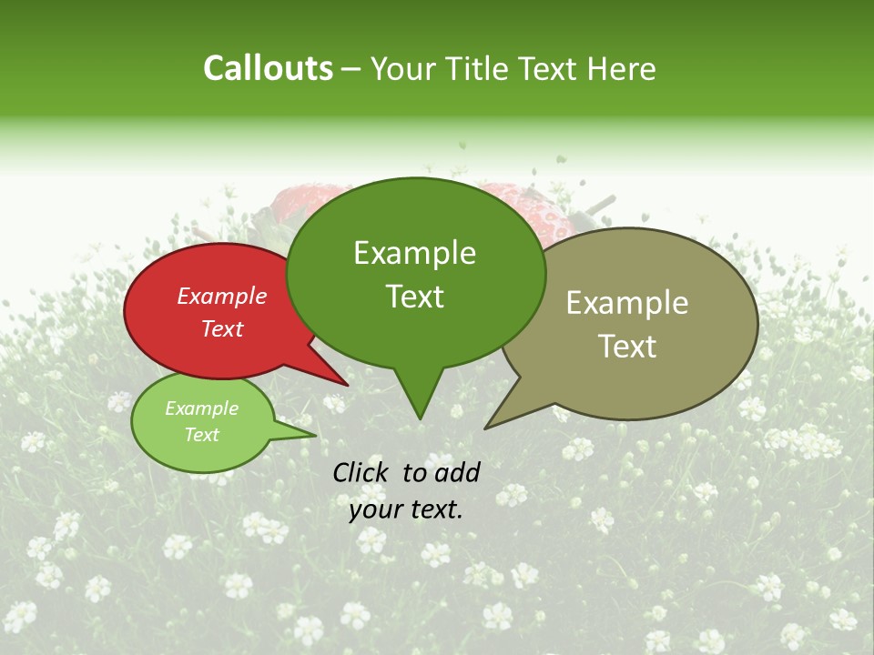 White Isolated Flowers PowerPoint Template