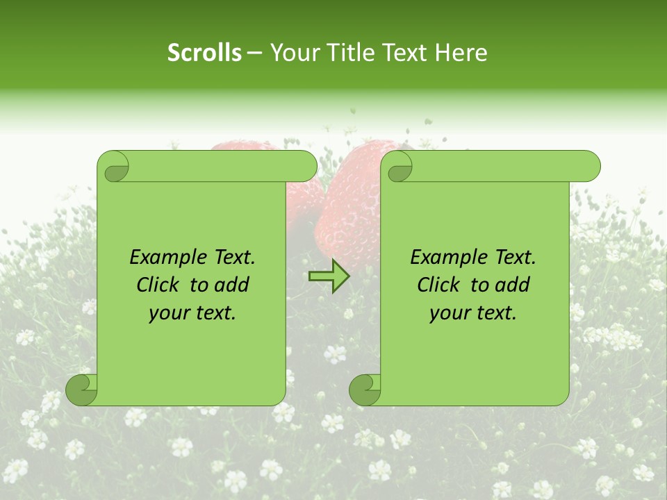 White Isolated Flowers PowerPoint Template