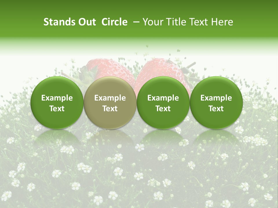 White Isolated Flowers PowerPoint Template