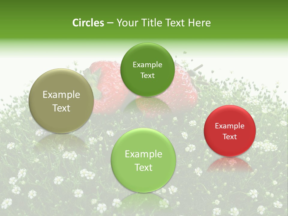 White Isolated Flowers PowerPoint Template